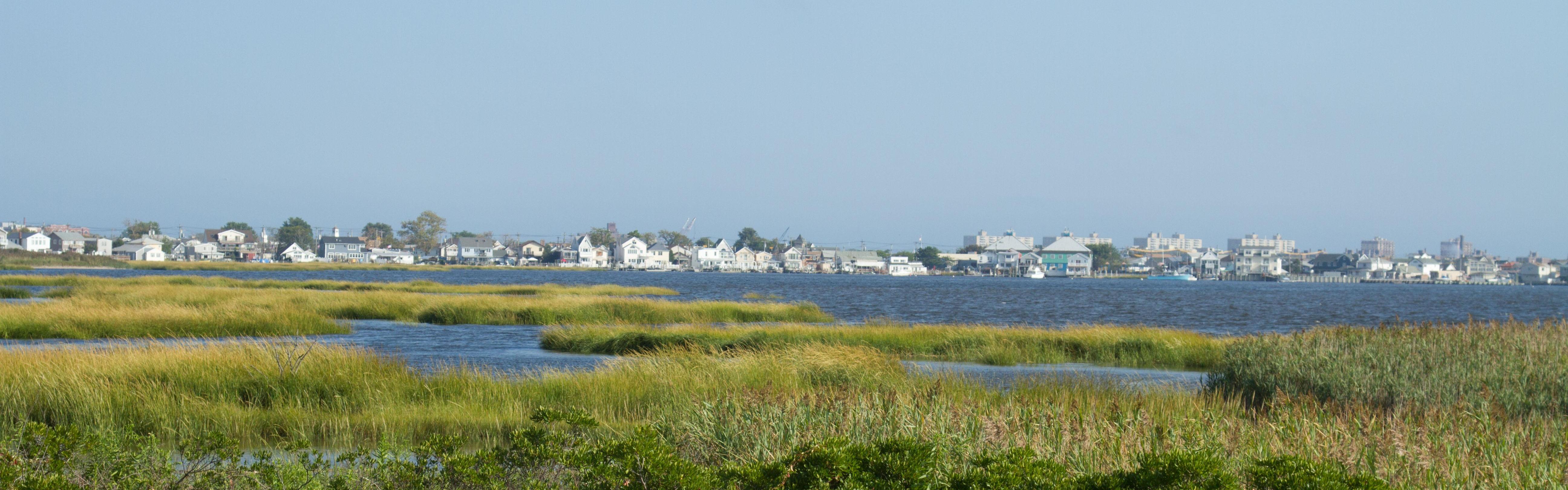 Salt marsh with houses along shoreline in horizon and a clear blue sky