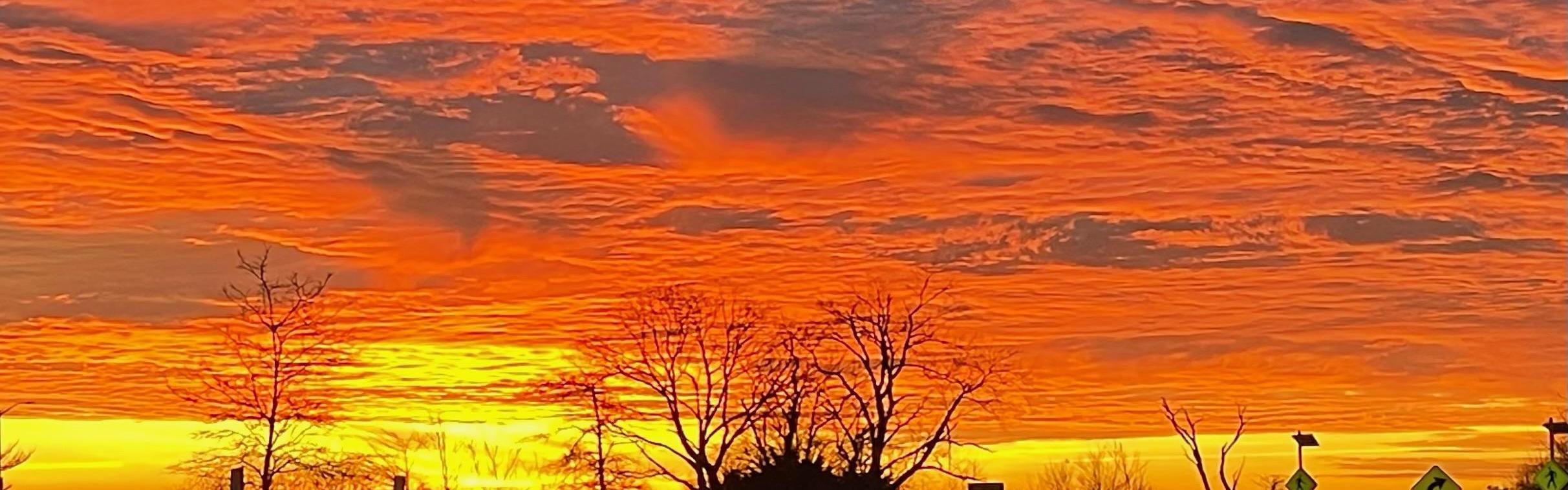 Sunrise over field