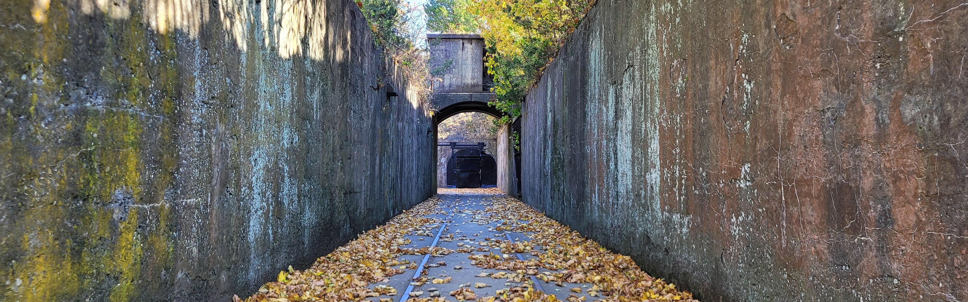 Narrow entryway with leaves covering floor