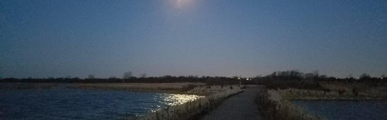 Full moon over West Pond trail at Jamaica Bay Wildlife Refuge.