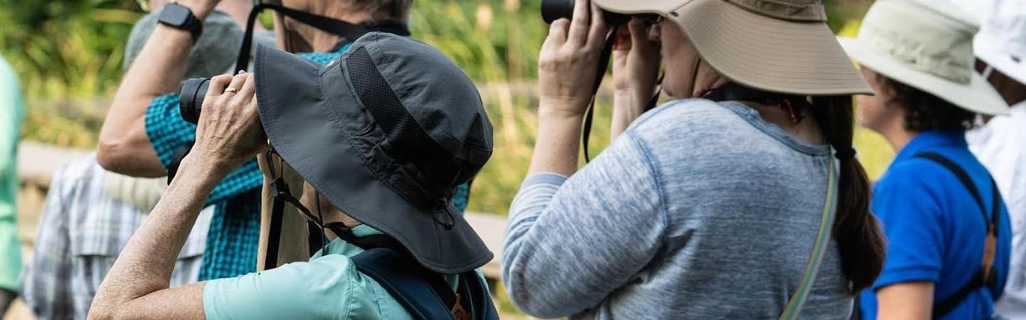 Four people with binoculars look in the distance with green trees around them.