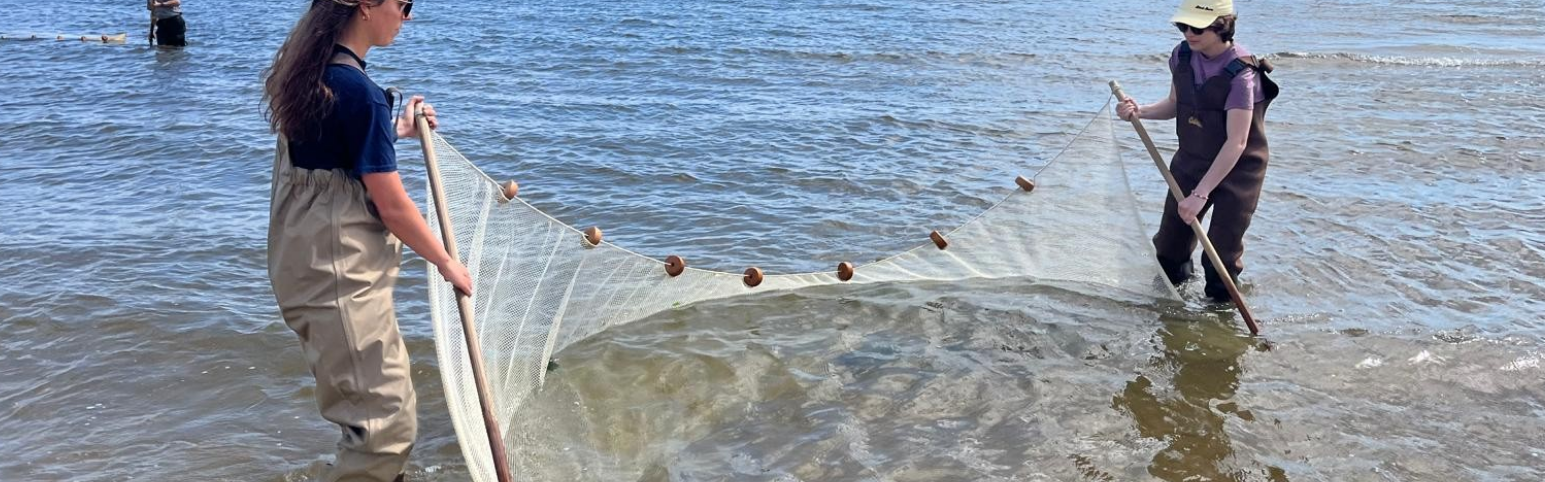 two people in water seining