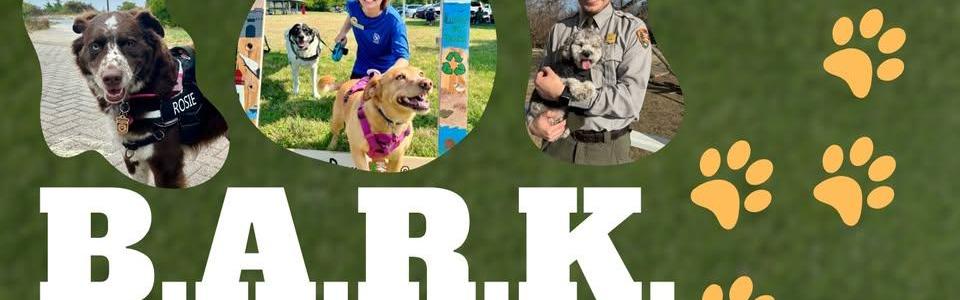 Rangers with dogs