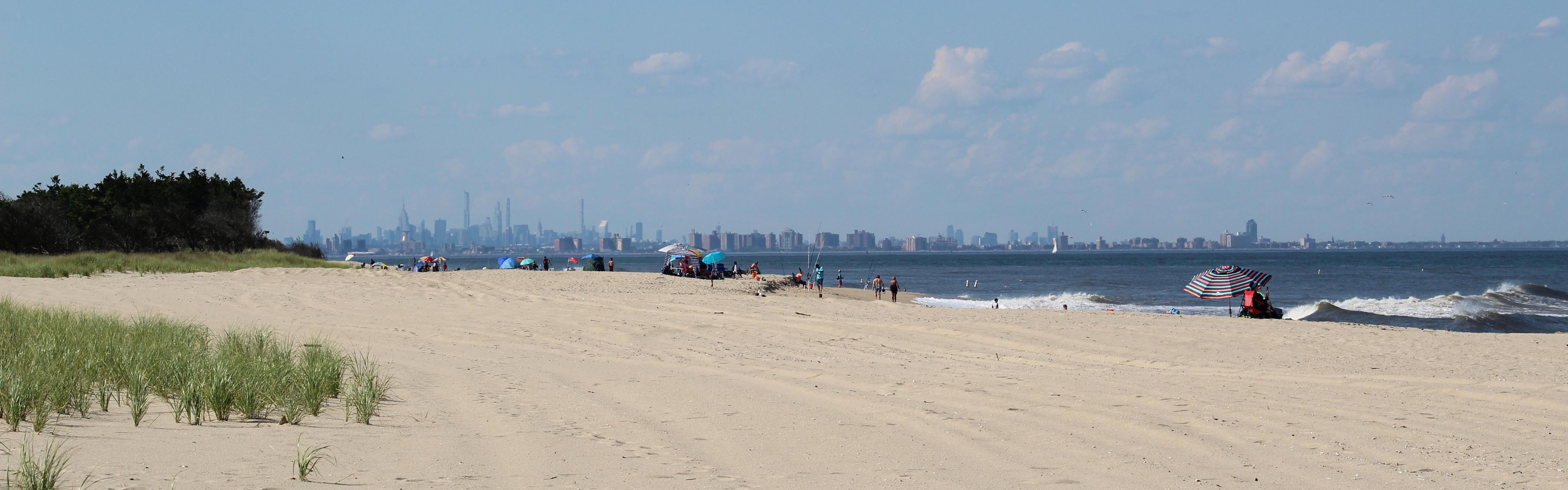 Beach under blue sky