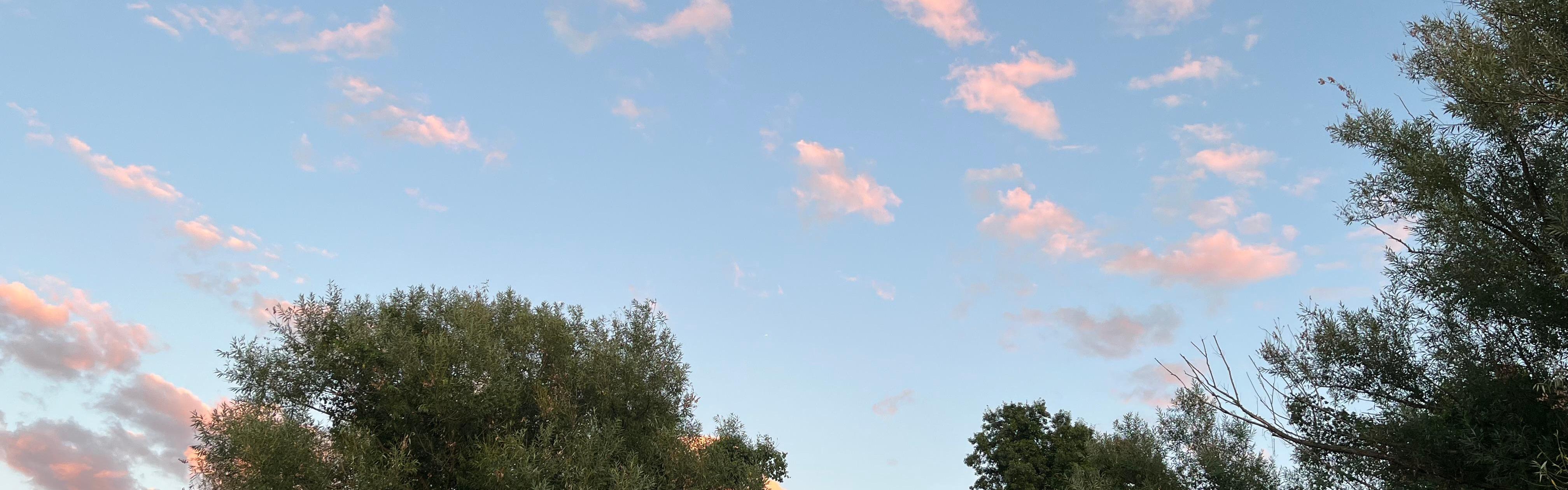 Blue sky with pink clouds