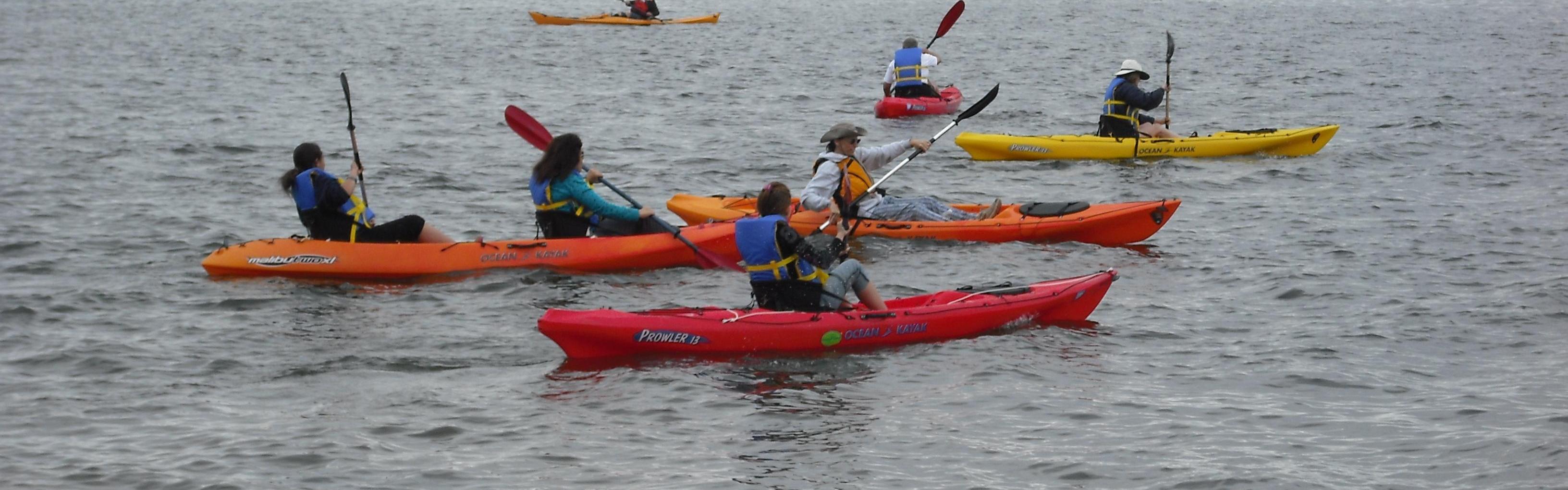 Group of kayakers in water.