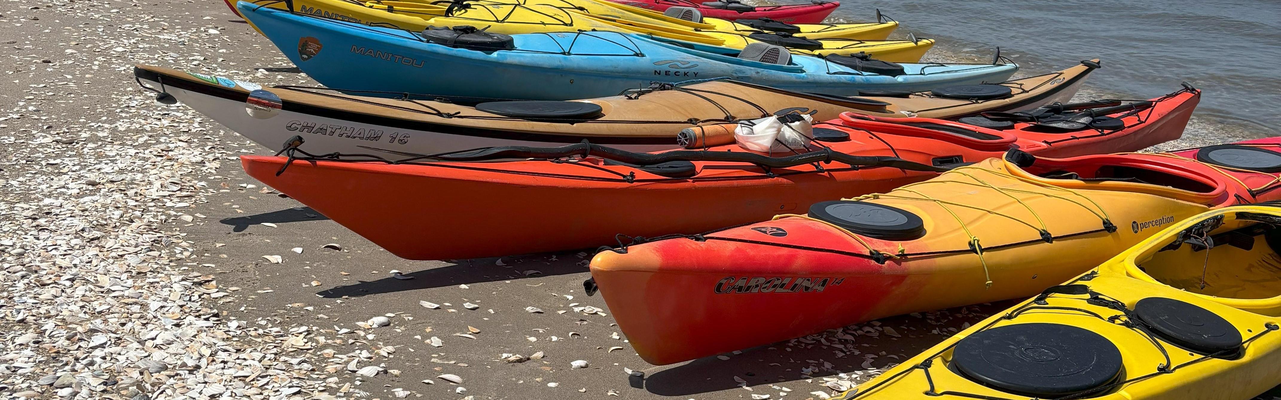 Line of kayaks on shore.