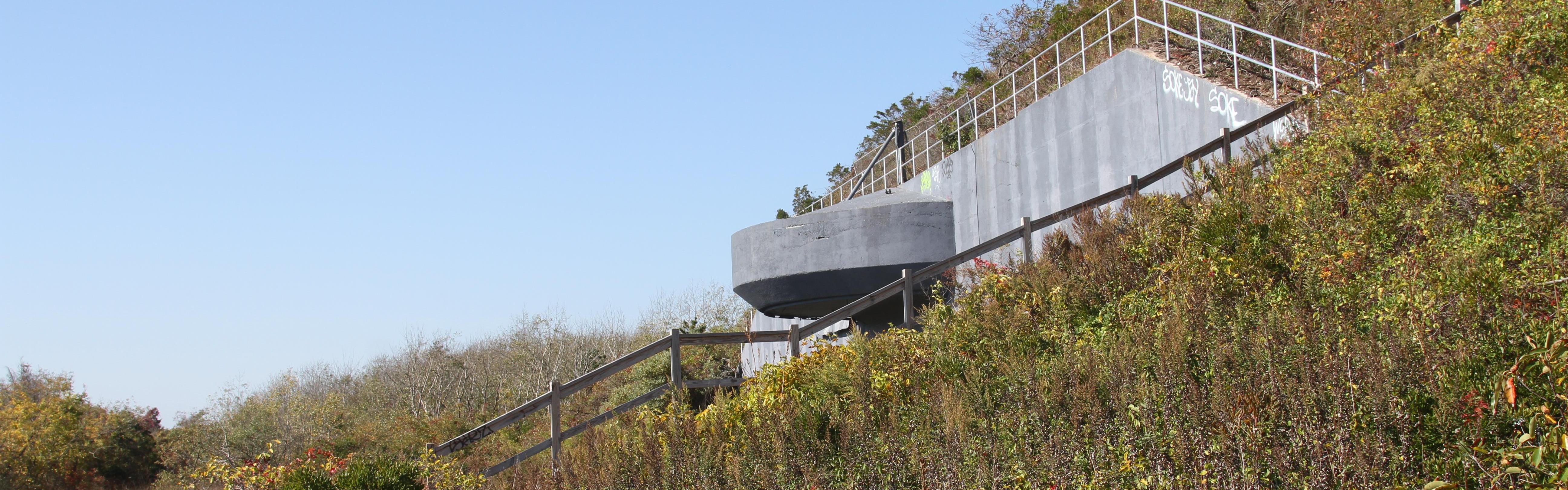 Battery Harris East with surronding foliage