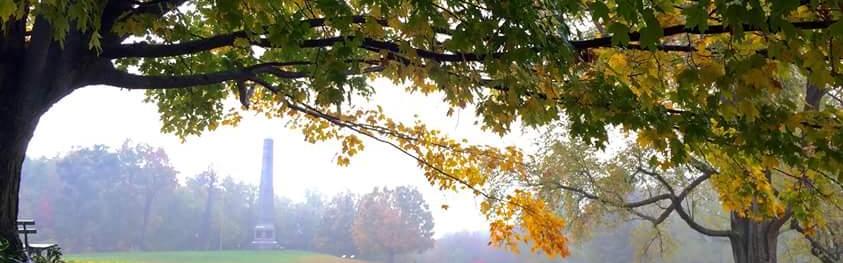 Through a misty field, you see streaks of vibrant green, yellow, & orange as leaves fall from trees.