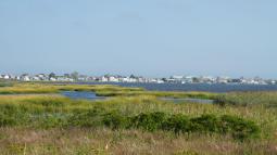 Salt marsh with houses along shoreline in horizon and a clear blue sky