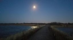 Full moon over West Pond trail at Jamaica Bay Wildlife Refuge.