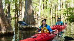 image of two women kayaking in swampy water surrounded by trees