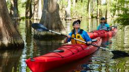image of two women kayaking in swampy water surrounded by trees