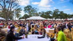 a photo of a crowd of people enjoying wine outside under tents