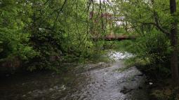 Assunpink Creek from Mill Hill Park