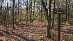 Huyler's Landing Trail Head