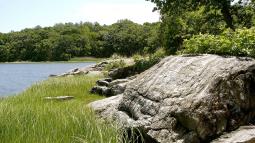 Pelham Bay
