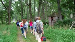 Image of hikers on a hiking trail