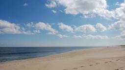 Sandy Beach under blue sky