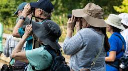 Four people with binoculars look in the distance with green trees around them.