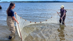 two people in water seining