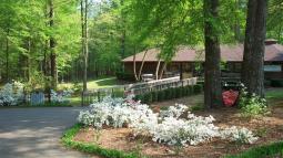 Azaleas bloom along the walkway to the visitor center