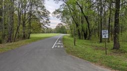 One way road with a cycling lane on the right side.