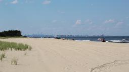 Beach under blue sky