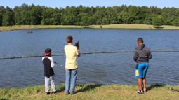 Three young boys fishing on a clear day.