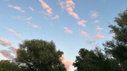 Blue sky with pink clouds