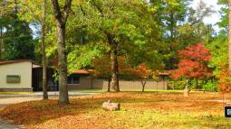 Moores Creek National Battlefield's Visitor Center with trees in front, on a sunny day.