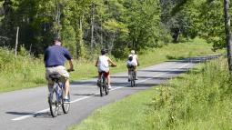 Family of cyclists on paved tour road