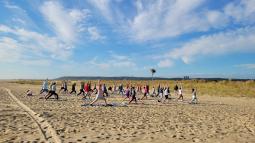 Group of people doing yoga on the beach