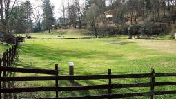 A green field inside a wooden fence with trees and homes visible in the background. Preserved portion of the original muster field where Virginia patriot militia gathered on September 23, 1780.