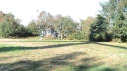 A sunlit grassy field stretches toward a dense line of leafy trees, with long shadows cast across the ground.