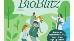 Event flyer for BioBlitz