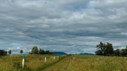 A mowed path cuts through a field. A red house and mountains are in the background.