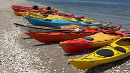 Line of kayaks on the shore