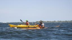 Kayakers on Water