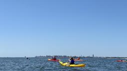 Kayakers on water