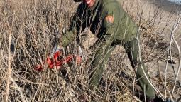 A park ranger cleaning up trash from a shoreline.