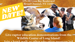Flyer with Raptorama festival details listed