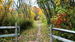 Nature trail with different colored fall foliage and two wooden gates