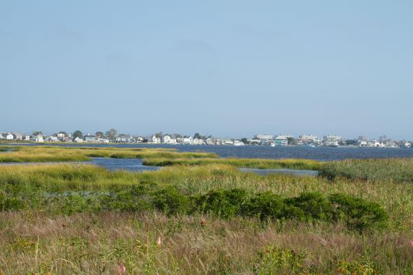 Salt marsh with houses along shoreline in horizon and a clear blue sky