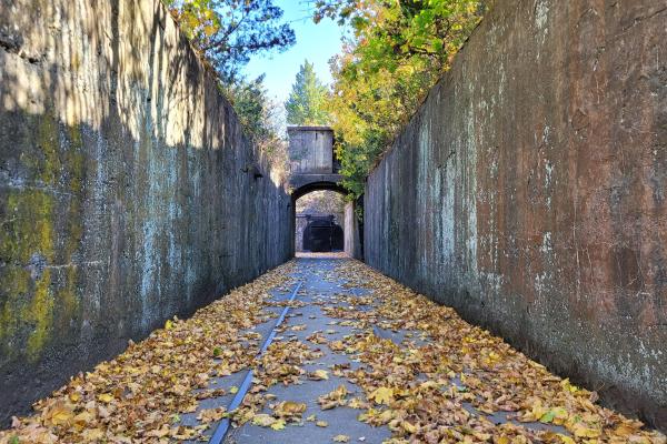 Narrow entryway with leaves covering floor