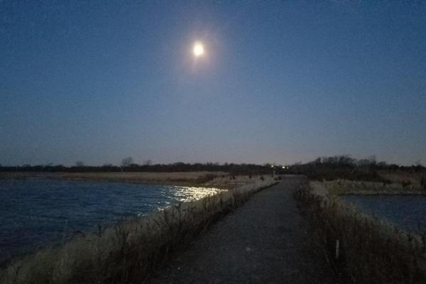 Full moon over West Pond trail at Jamaica Bay Wildlife Refuge.