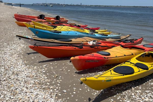 line of kayaks on shore