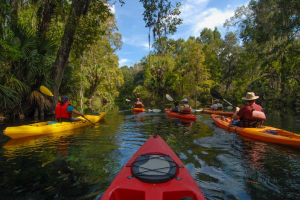 Six individuals kayaking