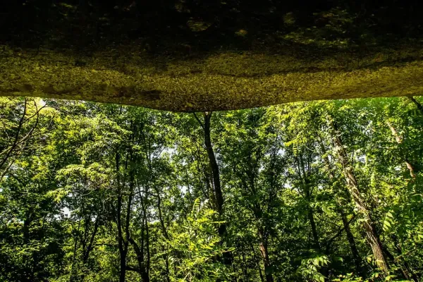 Image of a large overhanging rock with a forest in the background