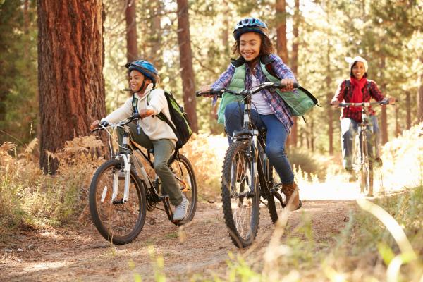 2 children and a woman riding bicycles on a forest path